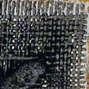 Click here to see full image of Windmills of the mind