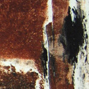 Click here to see full image of Old Mast